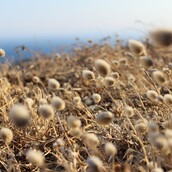 γΙα οΣους γουσΤαΡουΝ να κοιταΖουΝ ΠισΩ