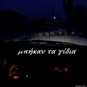 Κωστάκιοι Άρτας!
