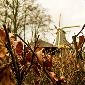 Όνειρο είναι θαρρώ...