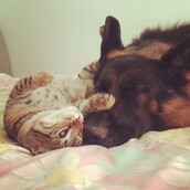 30 νέες φωτογραφίες απ' τα τέλεια ζώα των αναγνωστών μας