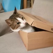 30 νέες φωτογραφίες απ' τα τέλεια ζώα των αναγνωστών μας