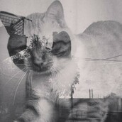 30 νέες φωτογραφίες απ' τα τέλεια ζώα των αναγνωστών μας