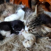 30 νέες φωτογραφίες απ' τα τέλεια ζώα των αναγνωστών μας