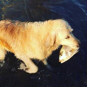 30 νέες φωτογραφίες απ' τα τέλεια ζώα των αναγνωστών μας