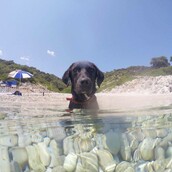 30 νέες φωτογραφίες απ' τα τέλεια ζώα των αναγνωστών μας