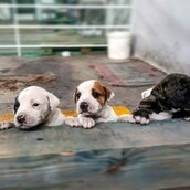 30 νέες φωτογραφίες απ' τα τέλεια ζώα των αναγνωστών μας