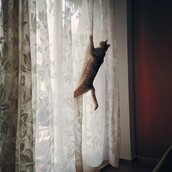 30 νέες φωτογραφίες απ' τα τέλεια ζώα των αναγνωστών μας