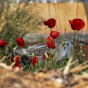 Επιστροφή στην κανονικότητα