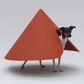 Αρχιτεκτονική για σκύλους