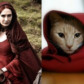 Πώς θα ήταν οι πρωταγωνιστές του Game of Thrones αν ήταν γάτες;