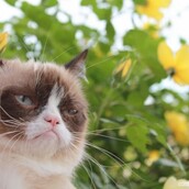 H Άνοιξη μου φέρνει αλλεργία!