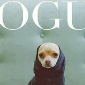 Αν η βίβλος της μόδας είχε άλλο κοινό