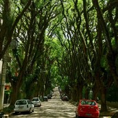 Αυτός είναι ίσως ο ομορφότερος δρόμος στον κόσμο