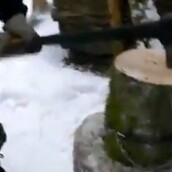 Ο καλύτερος ξυλοκόπος του κόσμου 