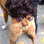 Butthead (στην κυριολεξία)