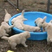 Μα πού πήγε το νερό!;