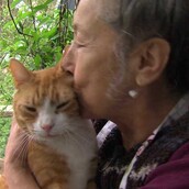 300 γάτες, ναι. Εκκεντρικότητα, όχι.