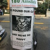 Η χαρά της ημέρας!