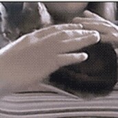 Η γάτα βρήκε την ιδανική θέση