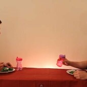 Πώς τρώνε το φαγητό τους διάφορα ζώα