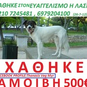 ''Βοηθήστε μας να κάνουμε Πρωτοχρονιά με τη Λάση''