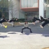 ΗΑDOKEN, το καταπληκτικό νέο meme