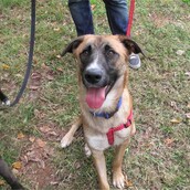 Τον λένε Μάνθο και ψάχνει την καλύτερη οικογένεια!