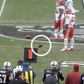 Tο απαθές περιστέρι της ημέρας 