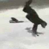 Όταν οι reporters κινδυνεύουν 