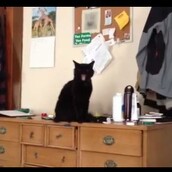 Ουπς, έπεσε!