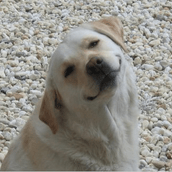 Xαμογέλα βρε, τι σου ζητάνε;