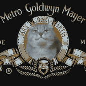 Ήρθανε τα ήμερα