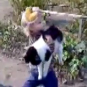 Mικρή ηρωίδα σώζει το γάτο της από τα δόντια ενός σκυλίσιου τέρατος