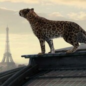 Οι 20 καλύτερες τηλεοπτικές διαφημίσεις του 2012