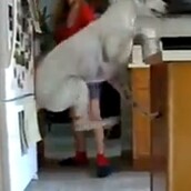 Ο πιο ανυπόμονος και ενθουσιώδης σκύλος του κόσμου! 