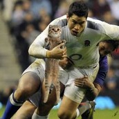 Αντί για μπάλες, γάτες!