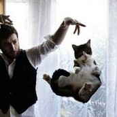 25 φωτογραφίες γατιών, τραβηγμένες την κατάλληλη στιγμή