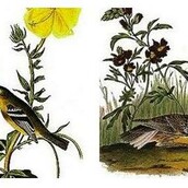 10 διάσημα παρθενικά tweets