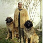 Ιδιοκτήτες σκύλων φορούν ρούχα φτιαγμένα από τη γούνα τους 