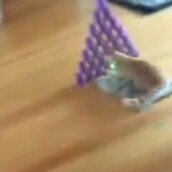 Η γάτα που παίζει μπόουλινγκ