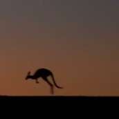 Τα πιο όμορφα GIF της φύσης στο ίντερνετ