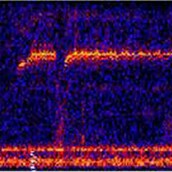 12 από τους πιο τρομακτικούς ήχους που έχουν ακουστεί ποτέ