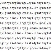 Αυτή είναι η μεγαλύτερη λέξη στα αγγλικά