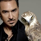 Το Έναστρον σταμάτησε τον Notis λόγω έλλειψης πελατών [UPDATE: Η απάντησή του]