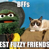 Oscar the Grouch vs. Grumpy Cat 