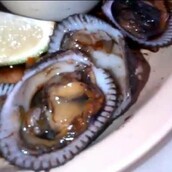 Τα 9 πιο θανατηφόρα φαγώσιμα