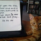 "Eίμαι μια κακιά γάτα...Το παραδέχομαι!"