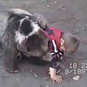 Ρώσικο cult! 9χρονος παλεύει με αρκούδα 