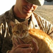 Ένας στρατιώτης ξαναβρίσκει τη γάτα του