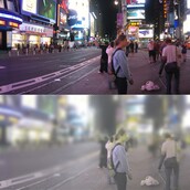 Πώς βλέπει τον κόσμο μία γάτα;